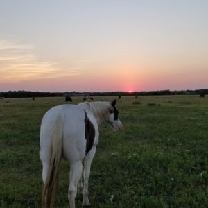 Meet your Posher, Carie